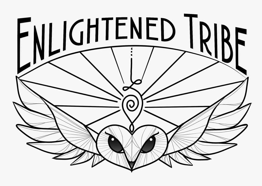 Logonewtrans - Circle, HD Png Download