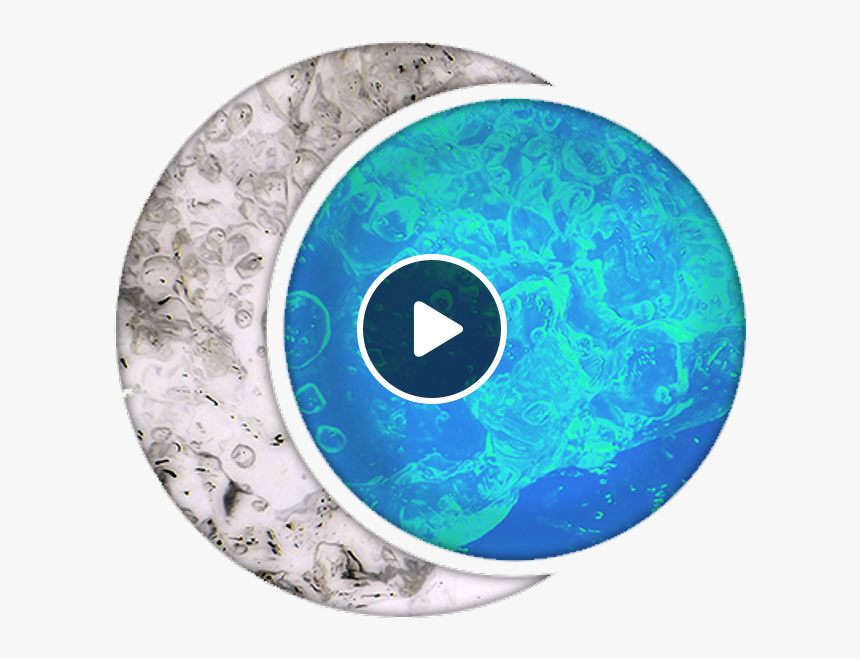 Circle, HD Png Download