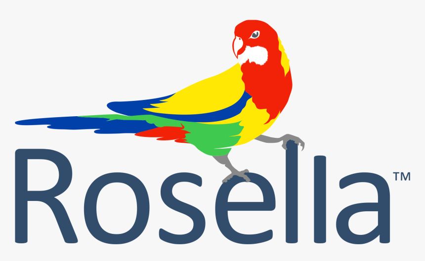 Products Vimoc Technologies Vimocs - Budgie, HD Png Download