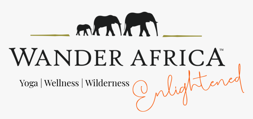 Enlightened Logo - Indian Elephant, HD Png Download