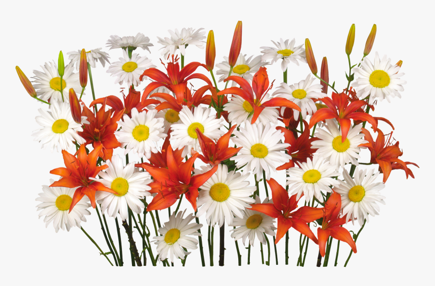 Flores Png, Renders De Flores, - Princess, Transparent Png
