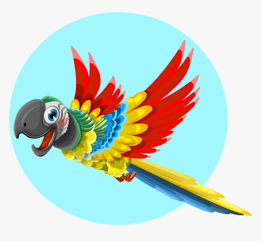 Parrot, Animal, Bird, Wild, Ara, Feather, Tropical - Quad City Parrot Head Club, HD Png Download