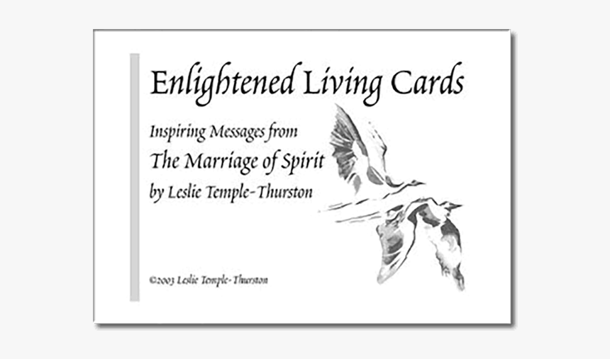 Swallow, HD Png Download