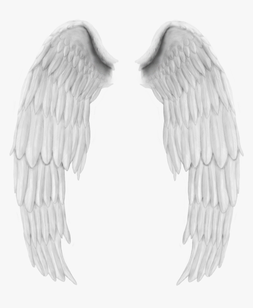 Wing, HD Png Download