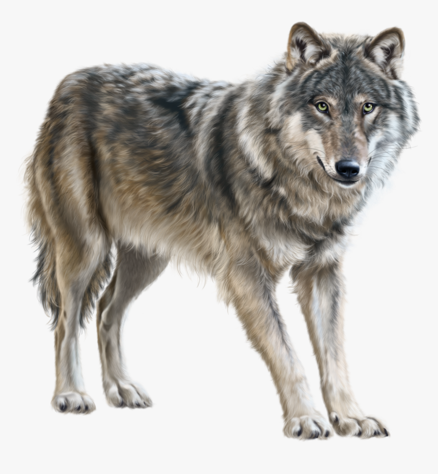 Wolf Png Clip Art - Волк Пнг, Transparent Png