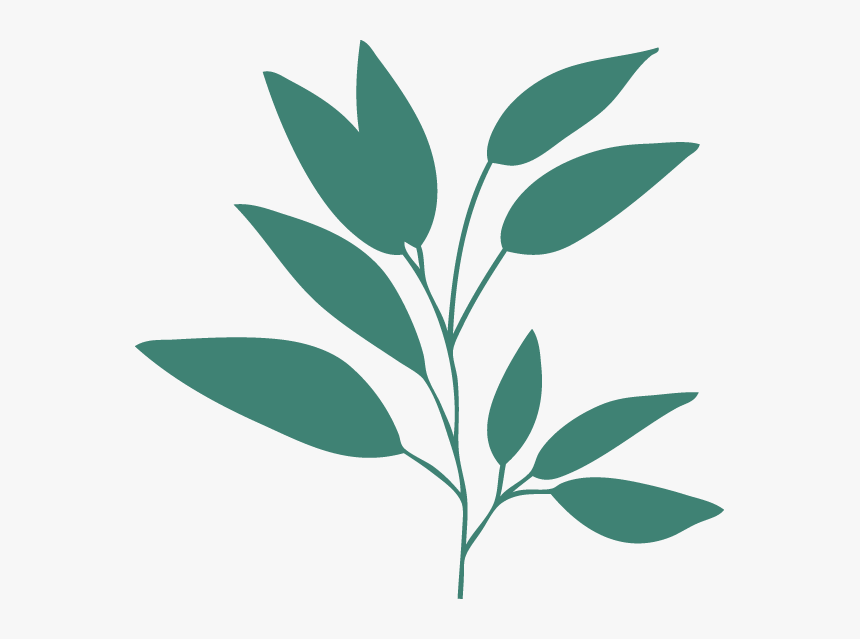 Teal Leaves Gold Leaf, Plant Leaves, Teal, Turquoise, HD Png Download