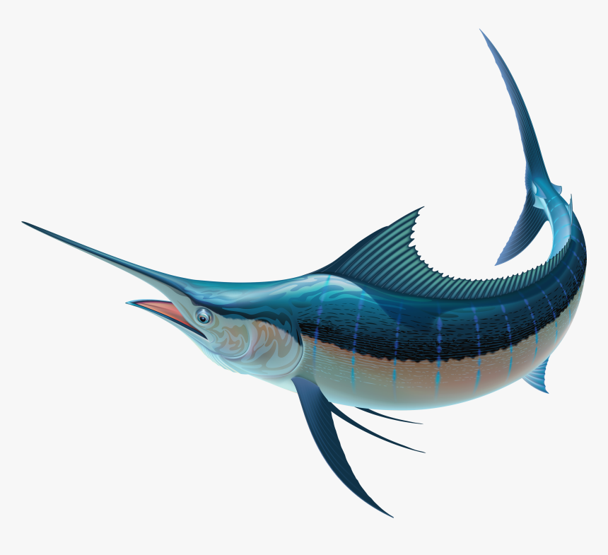 Swordfish Recreational Fishing Sailfish Clip Art - Sword Fish, HD Png Download