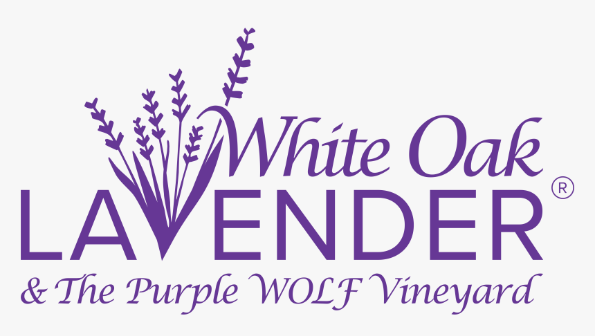 White Oak Lavender Farm & The Purple Wolf Vineyard - White Oak Lavender Farm Harrisonburg, HD Png Download