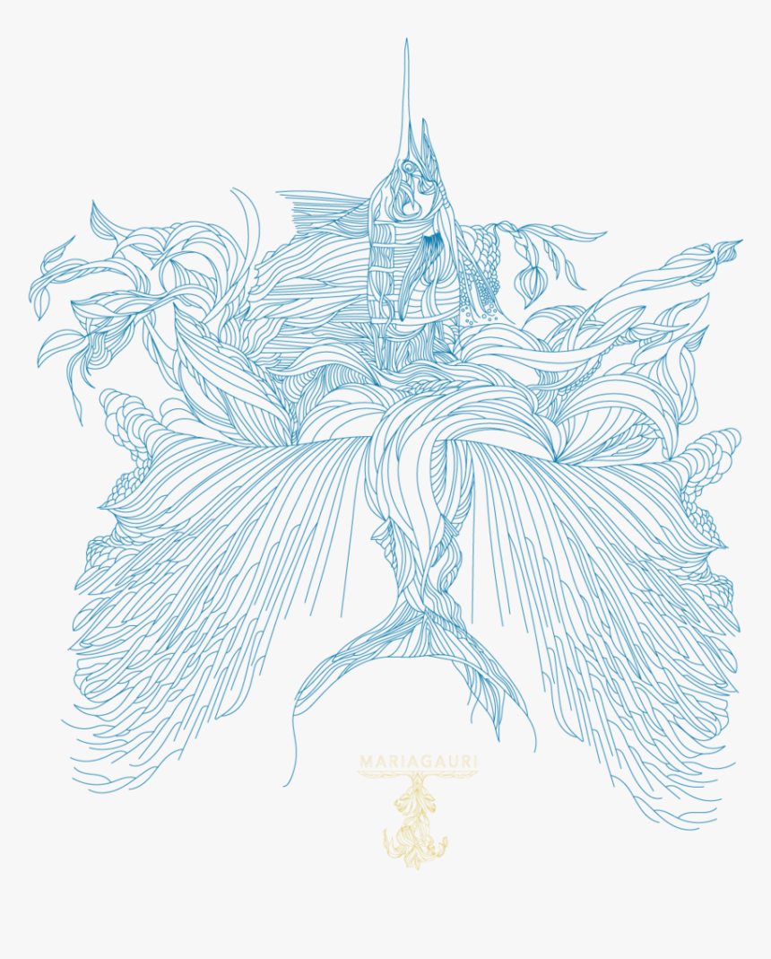 Sailfish Png - Sketch, Transparent Png