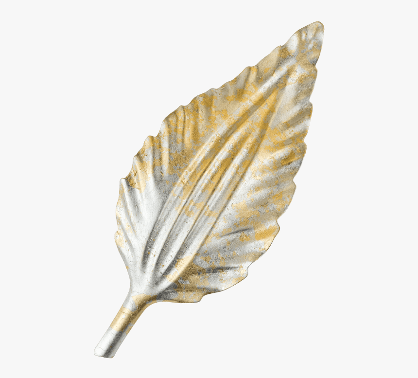 Silver & Gold Leaf - Conch, HD Png Download