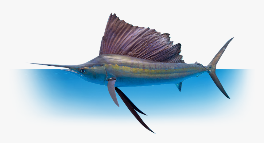 Whether You Re Fishing With Family And Friends, Or - Deep Sea Fishing Png, Transparent Png