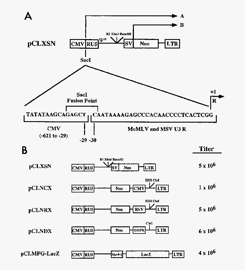 Diagram, HD Png Download