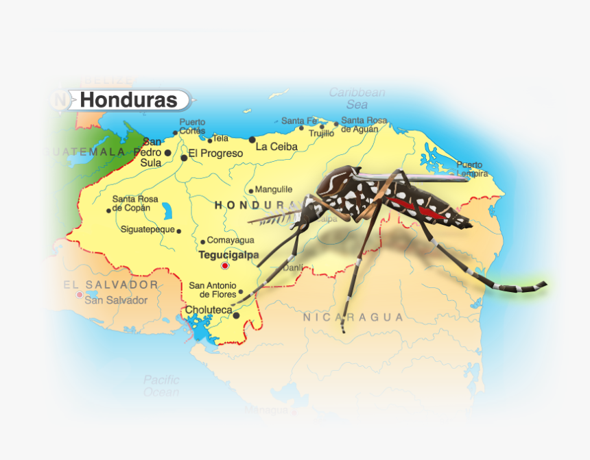 Atlas, HD Png Download