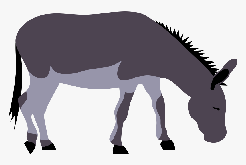 Transparent Democratic Donkey Png - Clipart Donkey Pictures Big, Png Download
