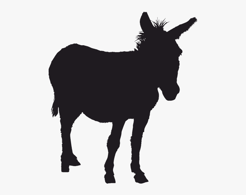 Donkey Silhouette Clip Art - Silhouette Of A Donkey, HD Png Download