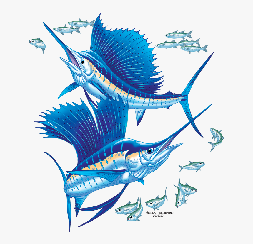 Sailfish Double - Illustration, HD Png Download