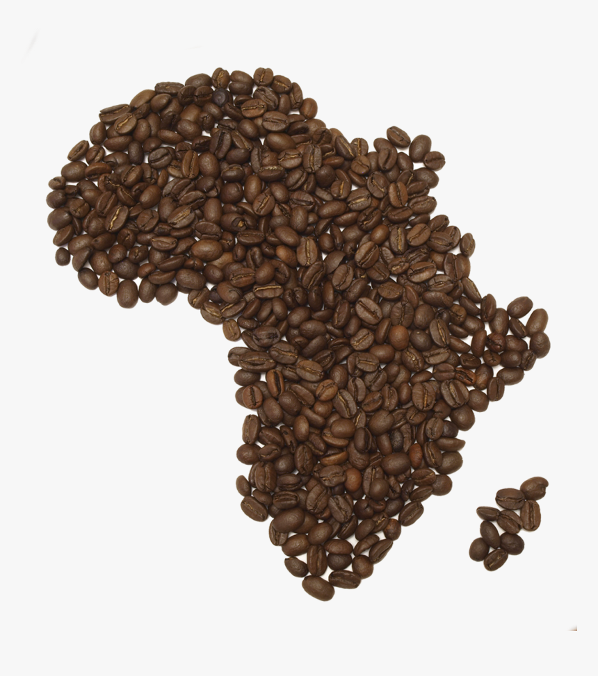 Transparent Png Coffee Beans - Coffee Bean Psd, Png Download