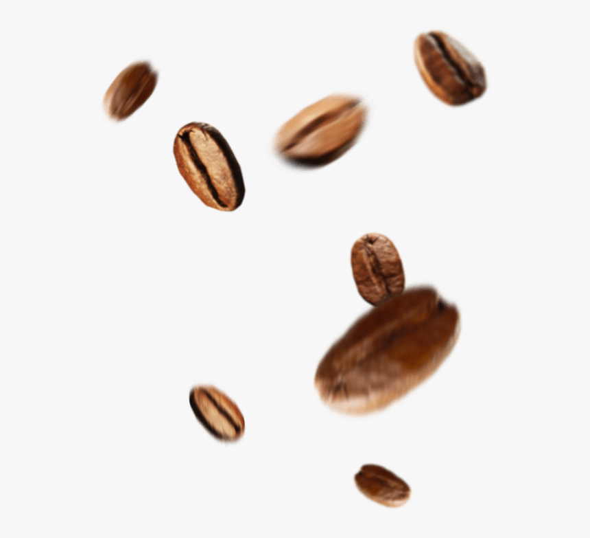 Beans - Seed - Seed, HD Png Download