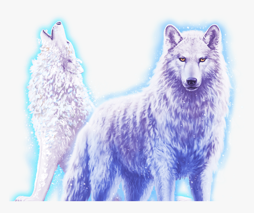 Canis Lupus Tundrarum, HD Png Download