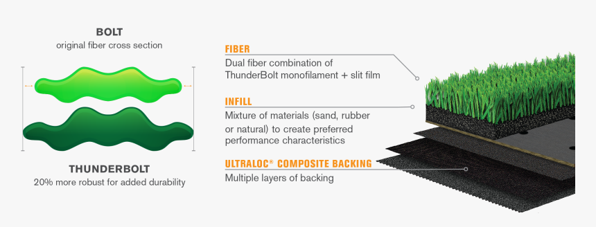 Thunderbolt Fiber Comparison - Tree, HD Png Download