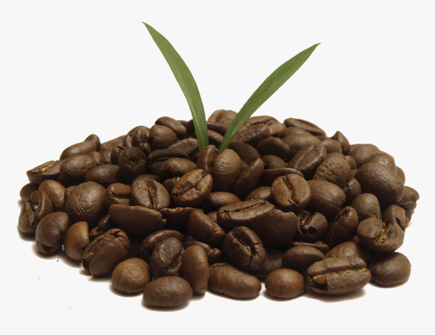 Зерна Кофе На Прозрачном Фоне, HD Png Download