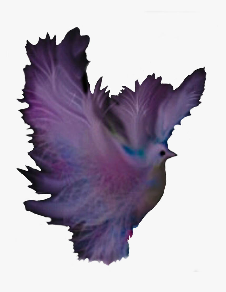 Computer Icons Fantasy Purple Color Feather - Pigeons And Doves, HD Png Download