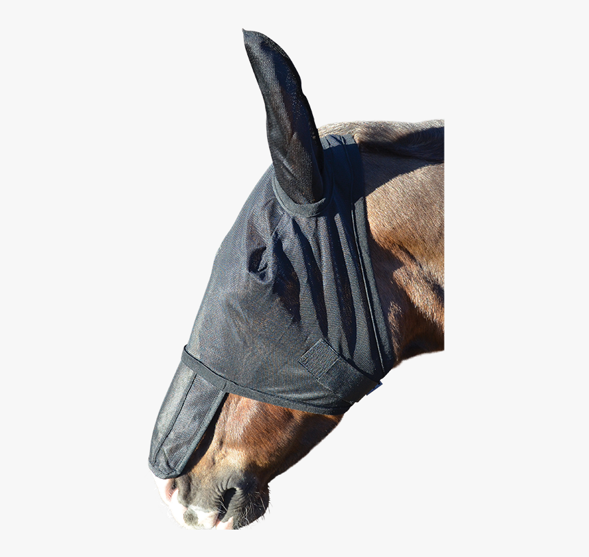 Fly Mask, HD Png Download