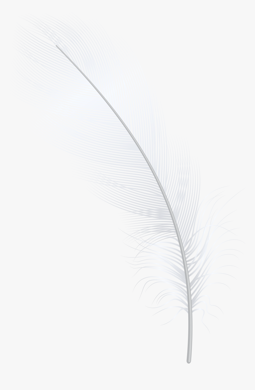 Transparent Feather Clip Art Png - Darkness, Png Download