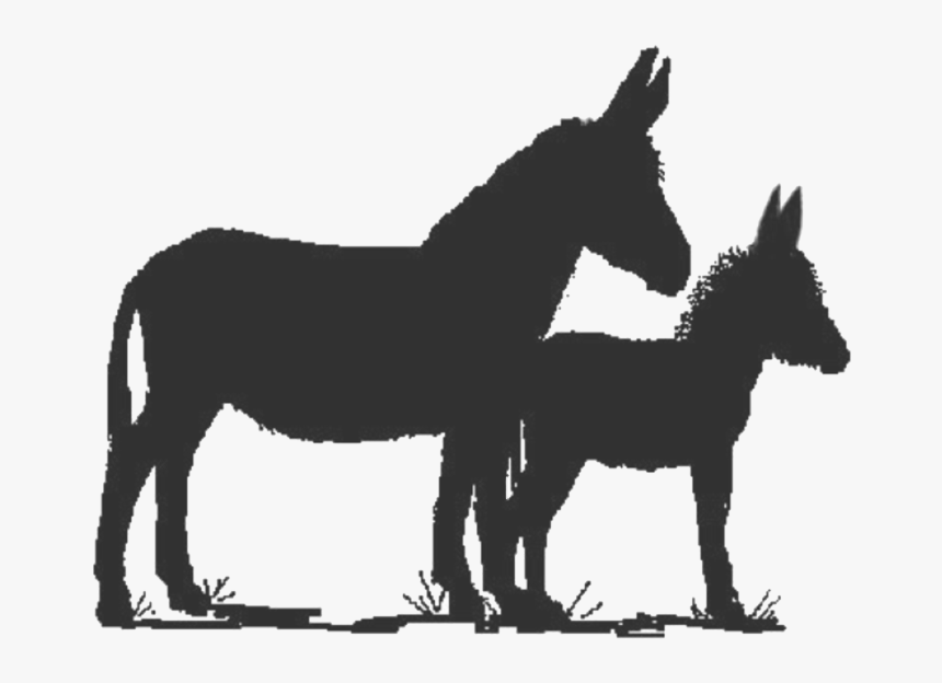 Donkey And Baby Silhouette, HD Png Download