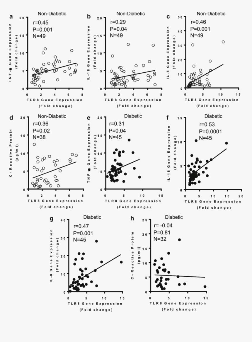 Diagram, HD Png Download
