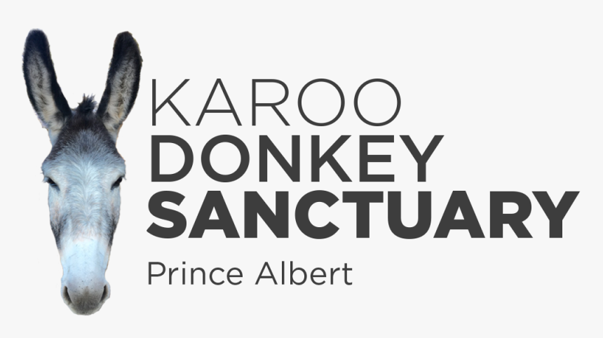 Karoo Donkey Sanctuary, HD Png Download