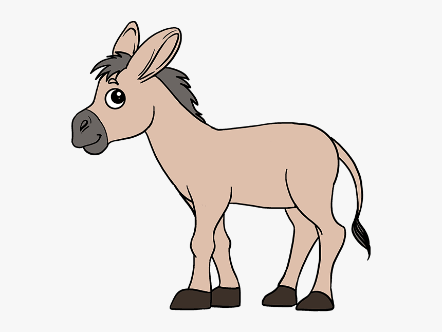 How To Draw Donkey - Step By Step To Draw A Donkey, HD Png Download , Trans...