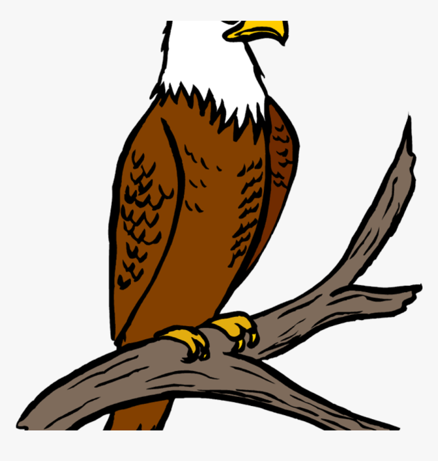 Free Eagle Clipart Eagle Feather Clipart At Getdrawings - Eagle Clipart, HD Png Download