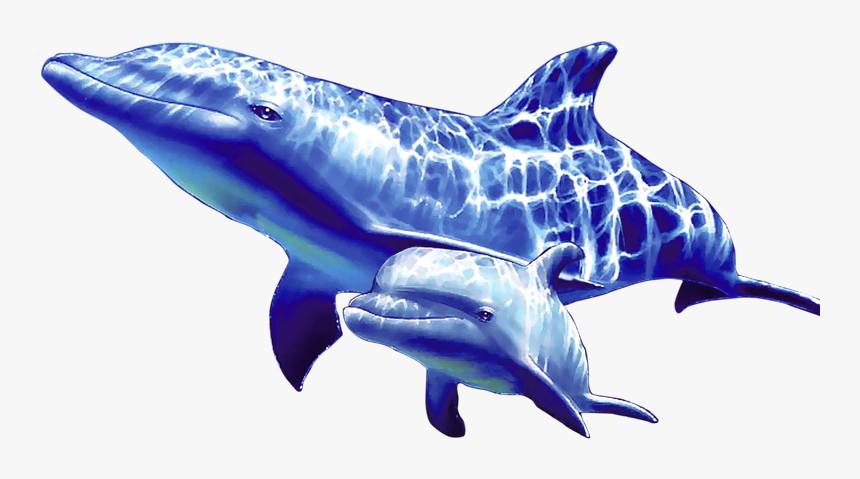 Transparent Dolphin Clipart Png - Dolphin Underwater Png, Png Download