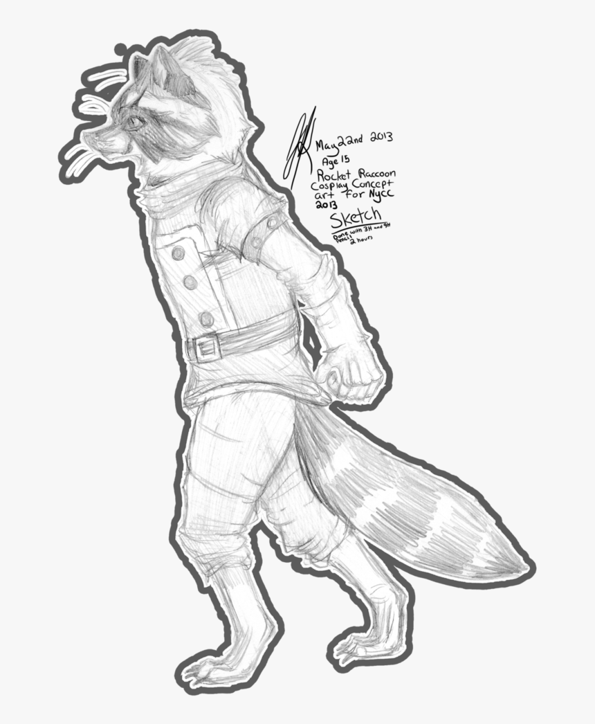 Drawing Raccoon Sketch, HD Png Download