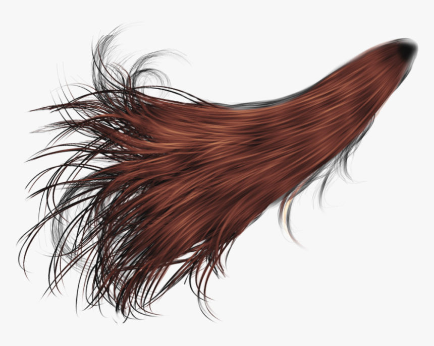 Girl Wig Png, Transparent Png