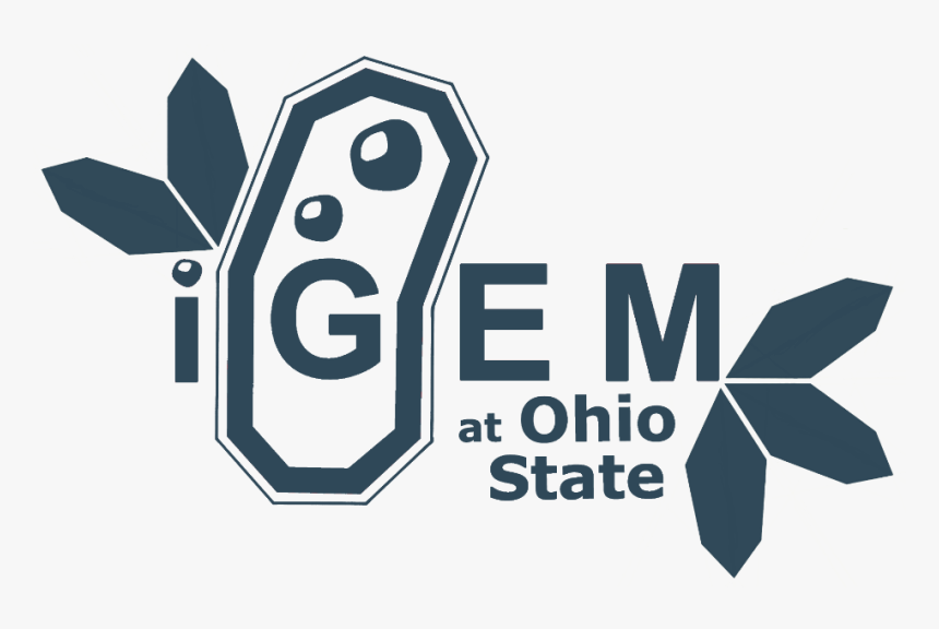 Ohio State Football Png, Transparent Png