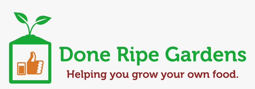 Green Thumbtack Png, Transparent Png