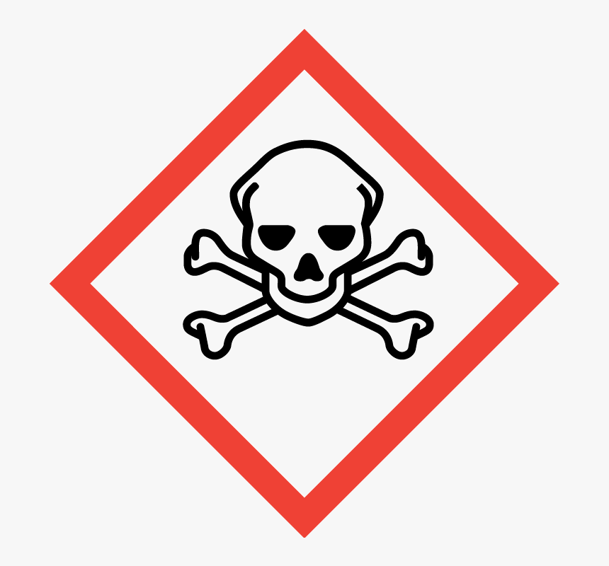 Transparent Totenkopf Png, Png Download