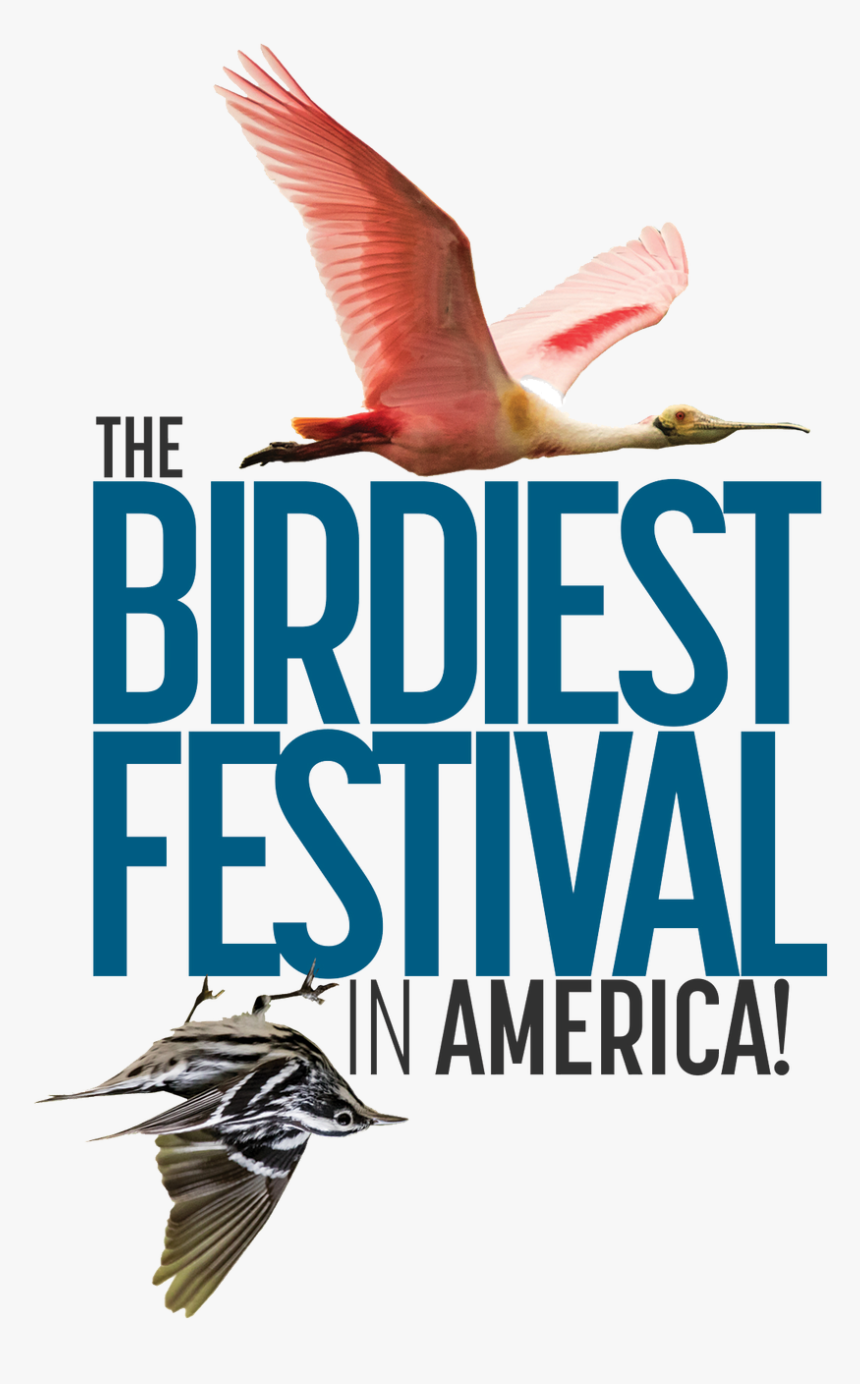 Captain Falcon Knee Png, Transparent Png