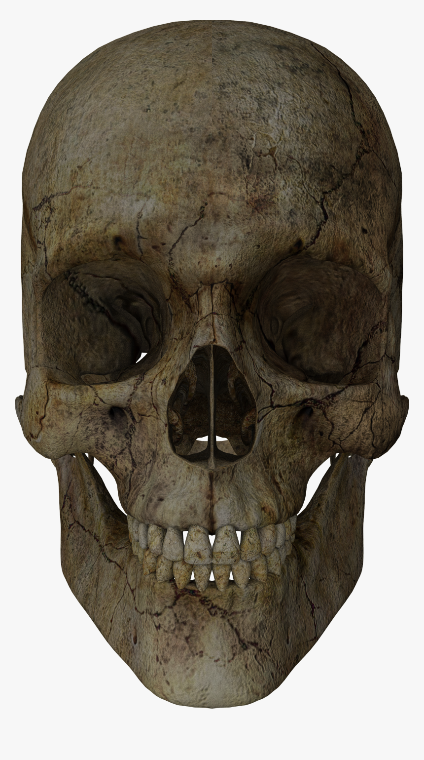Transparent Halloween Skull Png, Png Download