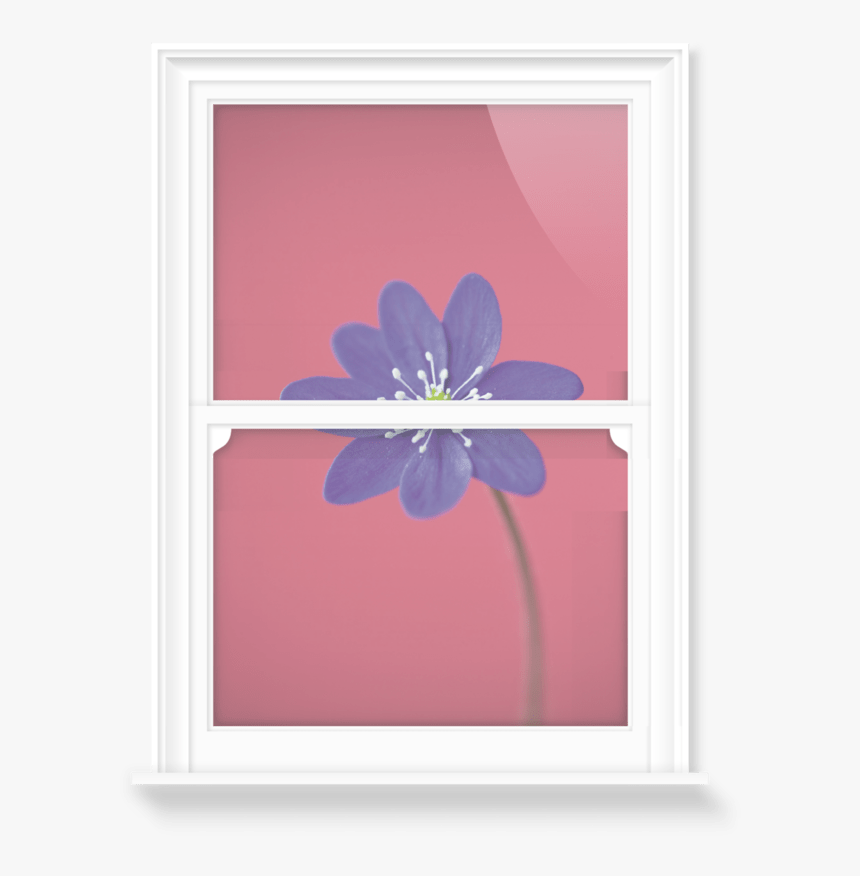 Window Frost Png, Transparent Png