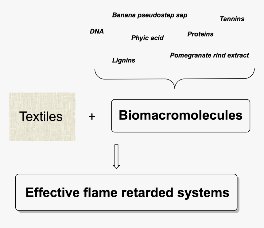 Creative Lines Png, Transparent Png