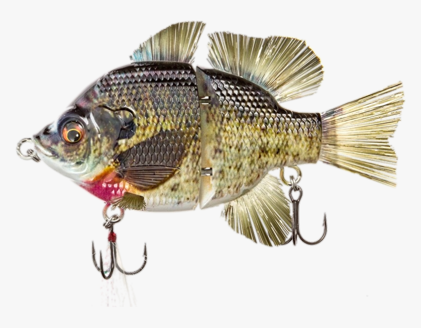Bass, HD Png Download