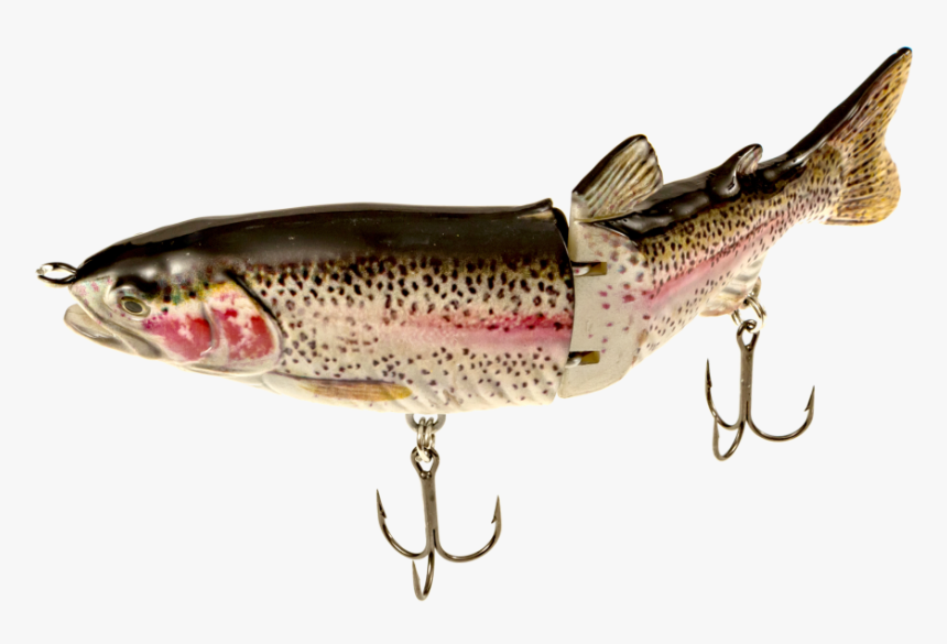 Fish,brown Trout,spoon Lure,fishing Bait,fishing Lure,northern - Fishing Lures For Bass Png, Transparent Png