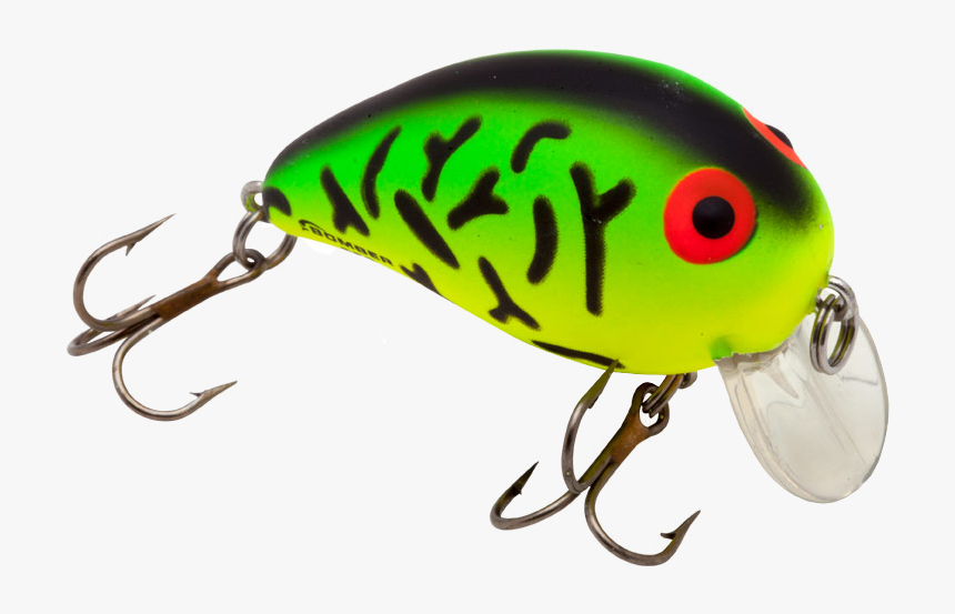 Shallow A - Bomber Shallow, HD Png Download