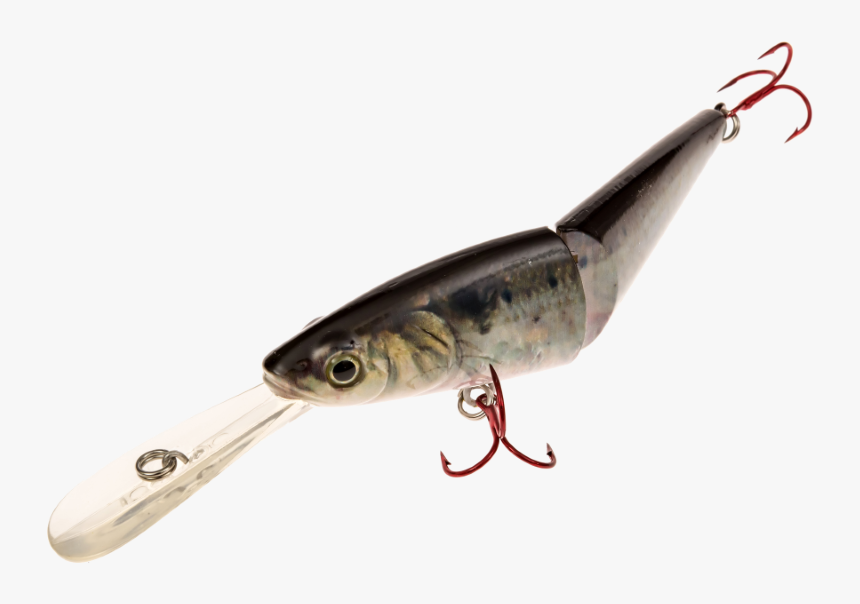 5 - Fish Hook, HD Png Download