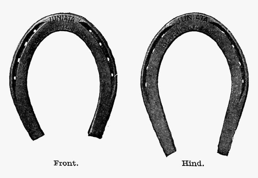 Horse Shoe Free Horseshoe Clip Art Images Clipartfest - Circle, HD Png Download