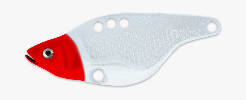 Ray-finned Fish, HD Png Download