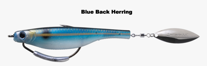 2019 Icast New Products, HD Png Download